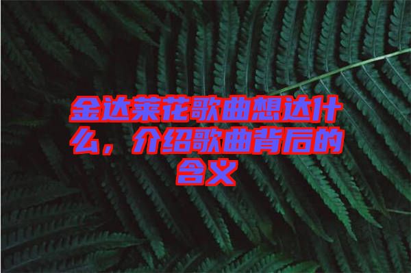 金達萊花歌曲想達什么,介紹歌曲背后的含義