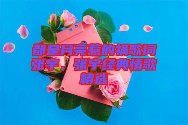 都是月亮惹的禍歌詞張宇,張宇經典情歌精選